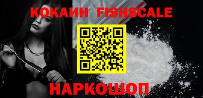 a pvp Гатчина