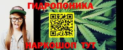 a pvp Гатчина