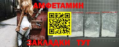 a pvp Гатчина