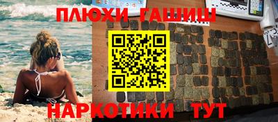 a pvp Гатчина