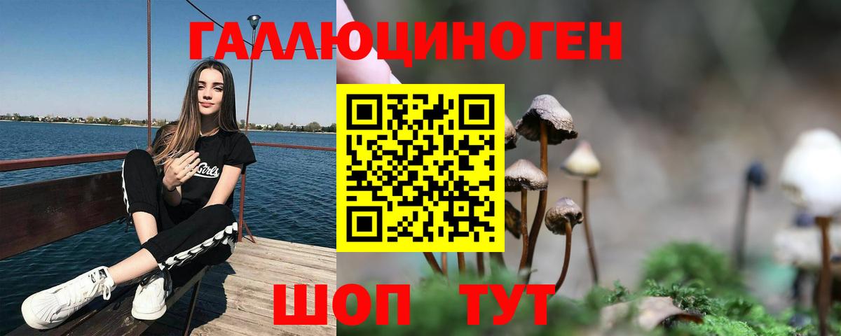 Псилоцибиновые грибы MAGIC MUSHROOMS Чехов