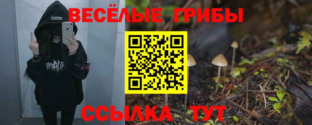 Галлюциногенные грибы ЛСД  Вход с VPN  Галлюциногенные грибы мухоморы  Чехов 
