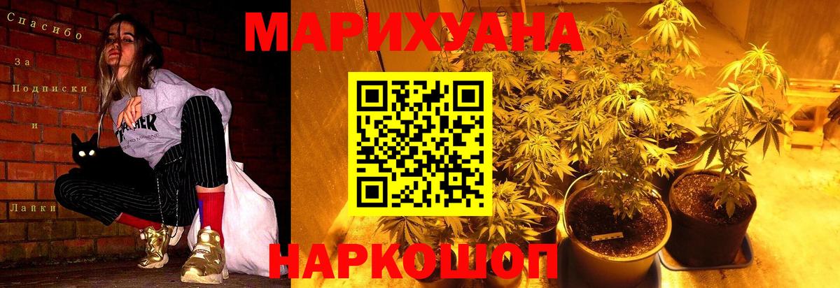 Бошки марихуана ГИДРОПОН Чехов